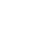Circular icon with quotation symbol